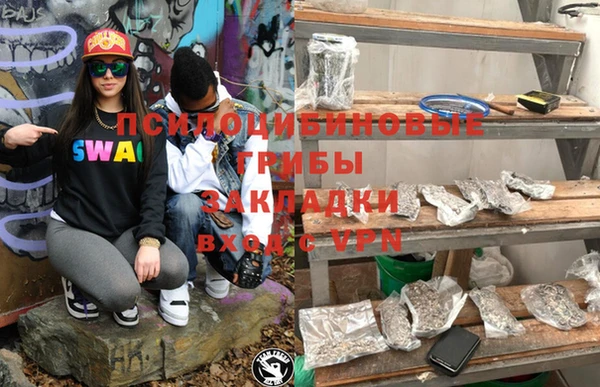 apvp Снежногорск